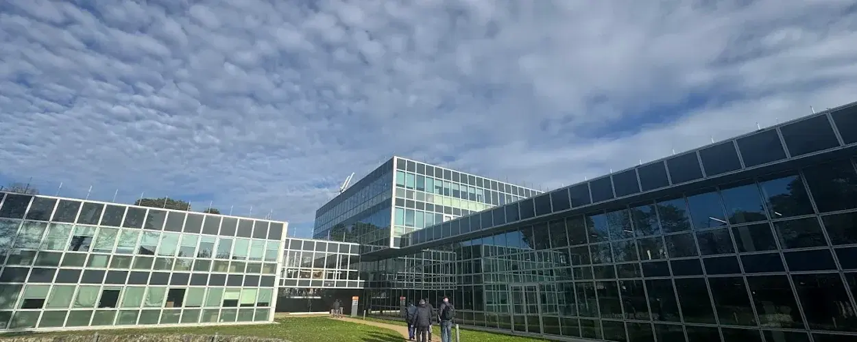 Insead