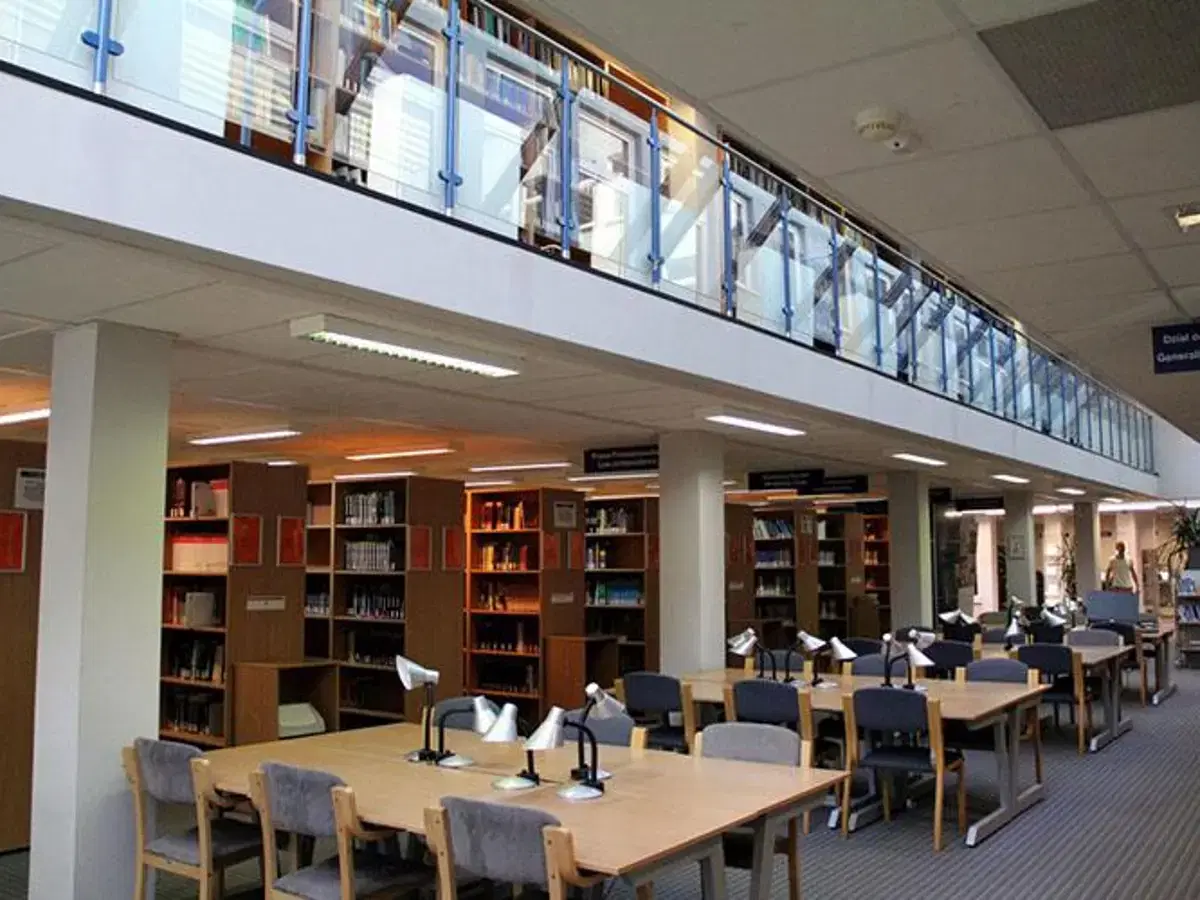 Gallery image 4